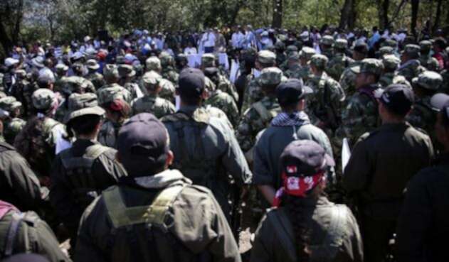 Farc-Colprensa-Luisa-González-1.jpg