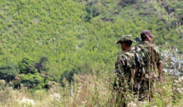 Farc-LaF.m.jpg