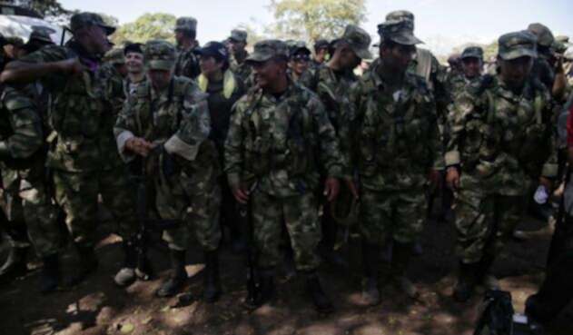 Farc1-1.jpg
