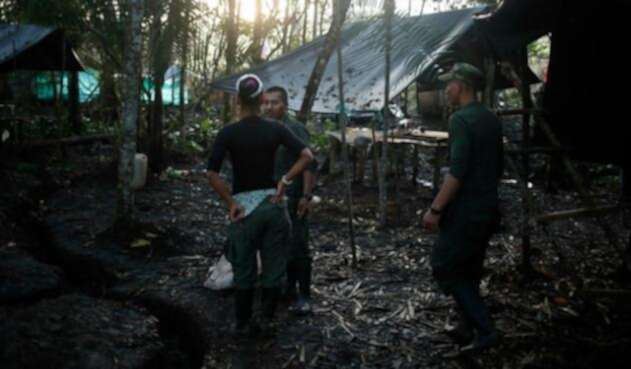 Farc31.jpg
