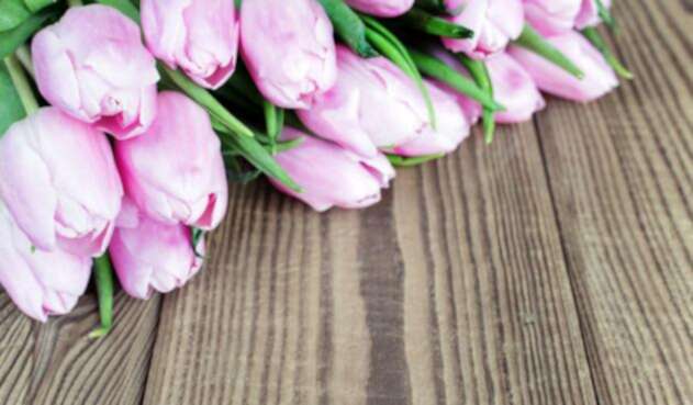 Flores-Ingimage.jpg