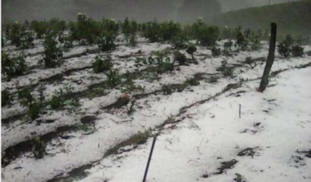 GRANIZADA.jpg