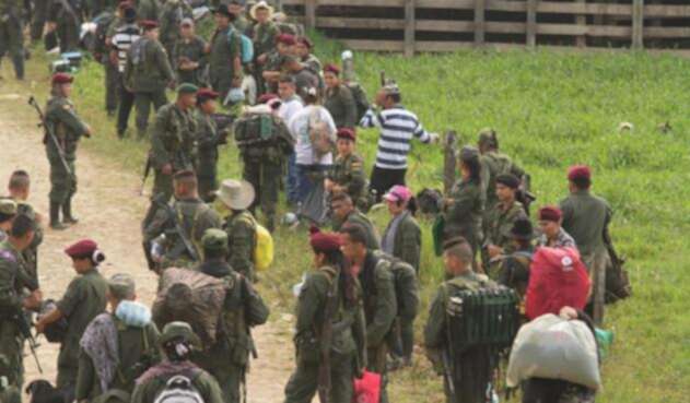 Guerrilla-LA-FM.jpg