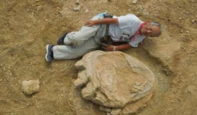Huella-Dinosaurio-Universidad-Okayama.jpg