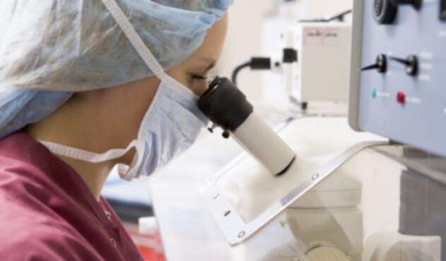 In-Vitro-Ingimage.jpg