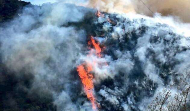 Incendio-forestal-Colprensa.jpg