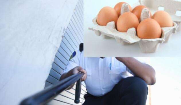 Ingimage-seguridad-huevo.jpg