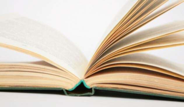 LIBROINGIMAGELAFM1.jpg