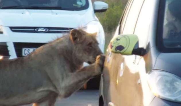 LeonaPuertaAutomovil.jpg