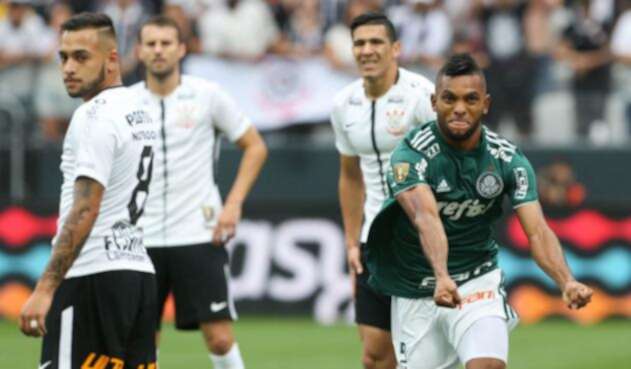 MiguelAngelBorjaPalmeiraFotoOficial1.jpg