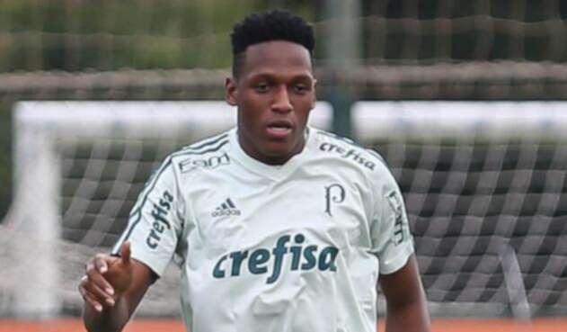 MinaFotoPalmeiras1.jpg