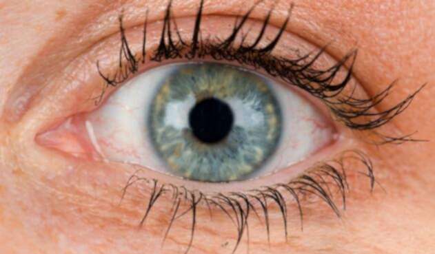 Ojo-LAFM-Ingimage.jpg