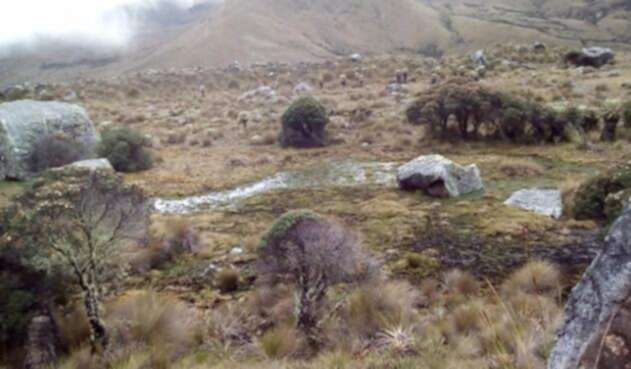 Páramo-el-almorzadero-Norte-de-Santander-Suministrada.jpg
