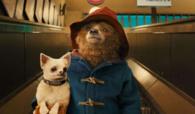 Paddington.jpg