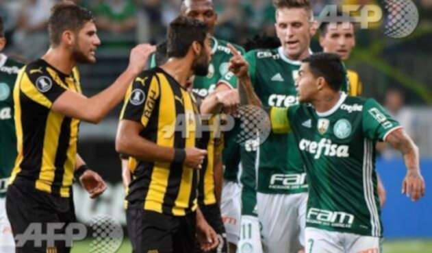Palmeiras-LA-FM-AFP.jpg