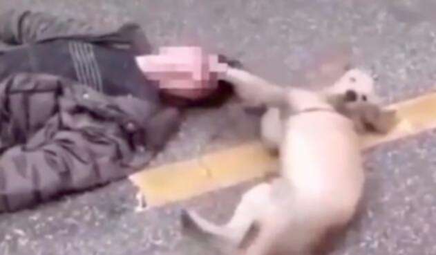 Perro-LA-FM-Video.jpg