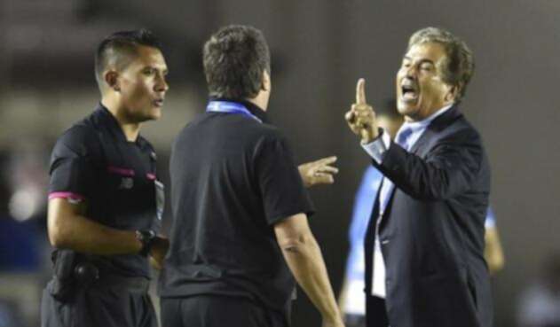 Pinto-2.jpg