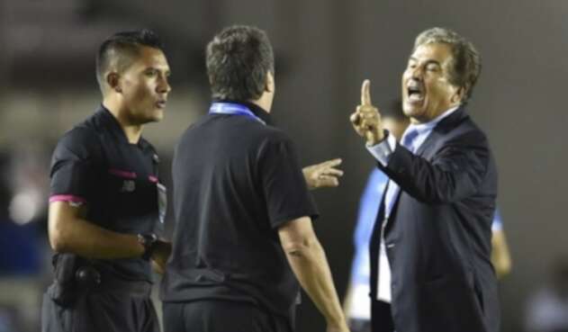Pinto-21.jpg
