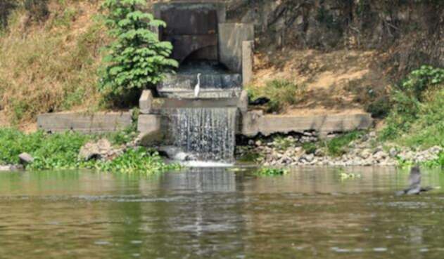 Río-Cauca-El-País-Oswaldo-Páez.jpg