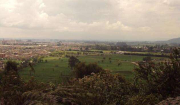 Reserva-Van-der-Hammen-LAFm-humedales-bogota.jpg