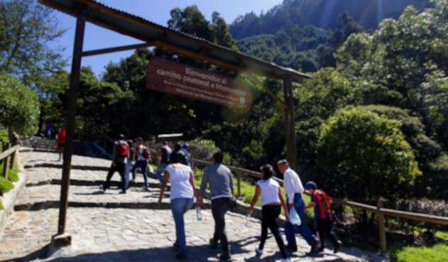 Sendero-Monserrate-Colprensa-Luisa-González..jpg
