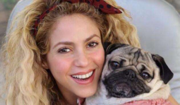 Shakira4.jpg