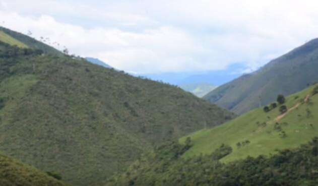 Sin-título-10.jpg