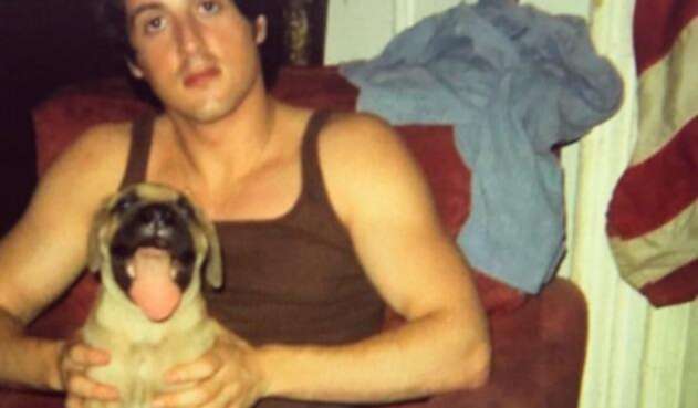 Stallone.jpg