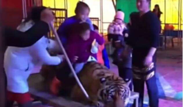 Tigre1.jpg