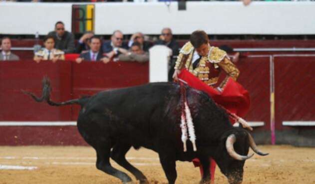 Toros.jpg