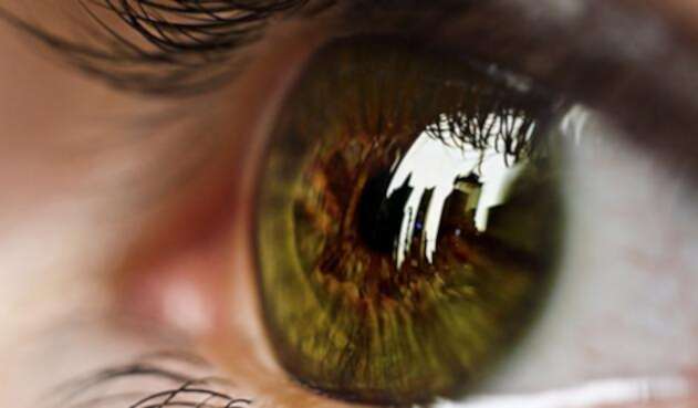 VisionOjoRefINGIMAGE.jpg