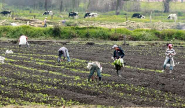 agricultoreslafm.jpg