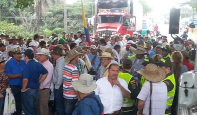 arroceros-Colprensa1.jpg