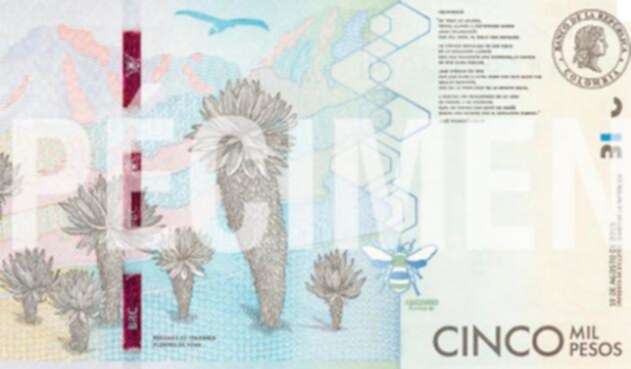 billetedecincomilpesos.jpg