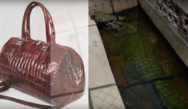 bolsos.jpg
