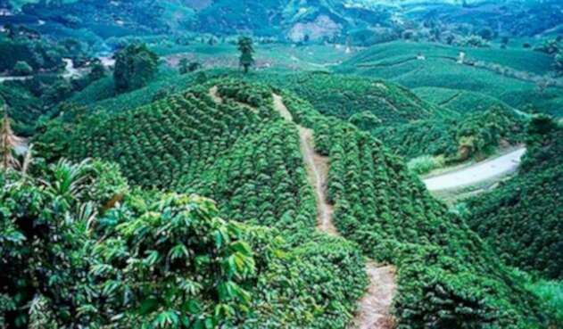 cafecolombiano.jpg