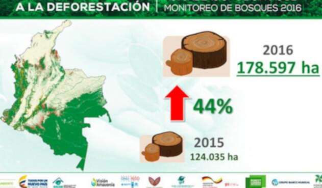 deforestacion.jpg