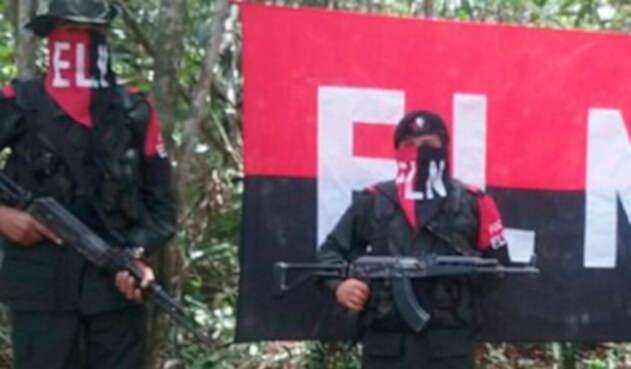 eln1.jpg