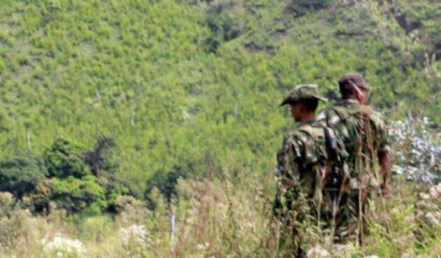 farc-laf_1470159488_1470336461.m_1470159488_1470336461.jpg