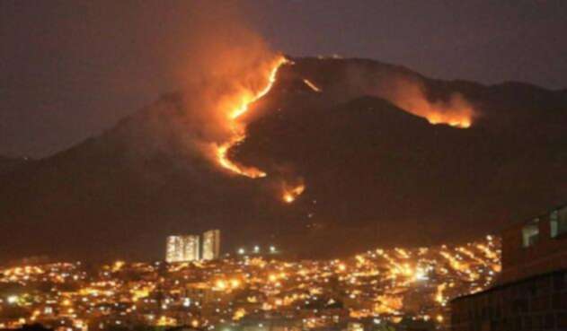 forestal.jpg