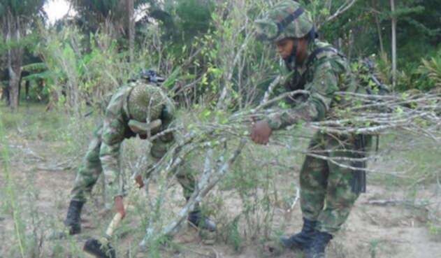 fuerzadetareaquironcolprensa.jpg