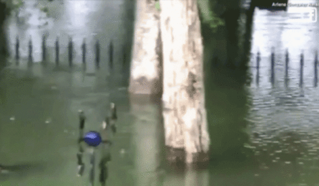 giphy-2-7.gif