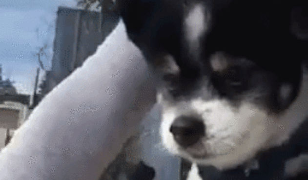 giphy-5-2.gif