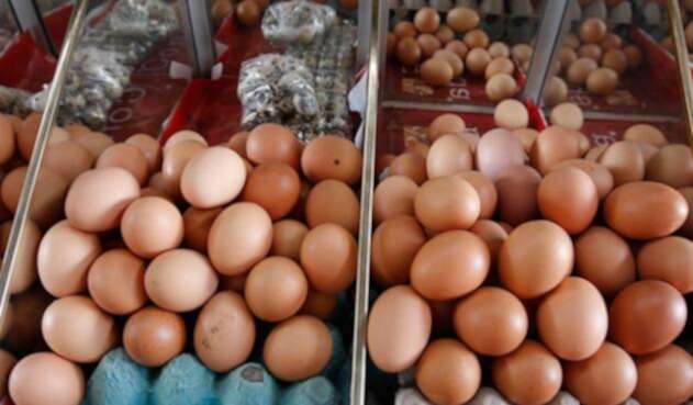 huevos-colprensa.jpg