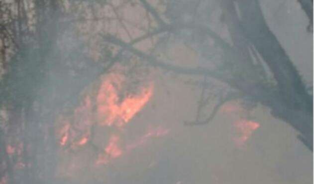 incendio-2.jpg
