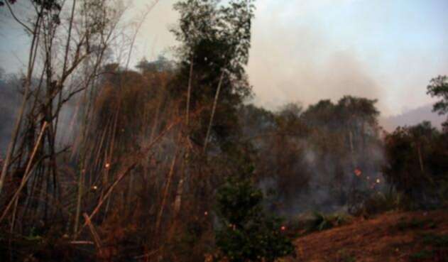 incendiosforestales.jpg