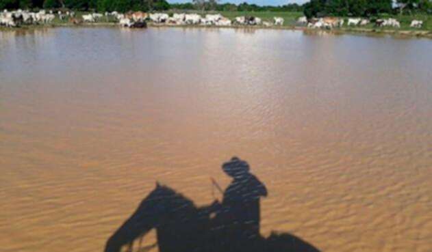llano-unesco.jpg
