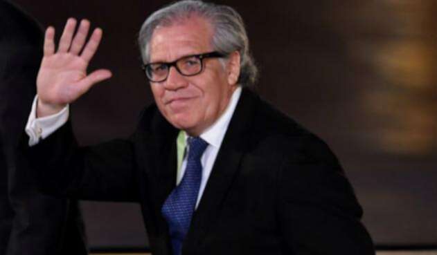 luisalmagroafp1.jpg