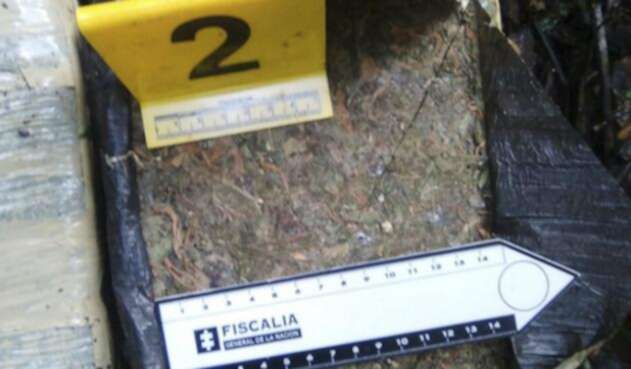 marihuanaincautada14nov161.jpg