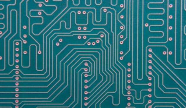 microchipingimagereflafm1.jpg